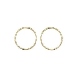 9ct Yellow Gold 12mm Hinged Sleepers