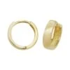 9ct Yellow Gold Hinged Earrings -Tissot || Longines || Omega Shop 9ct yellow gold hinged earrings p48804 80846 image