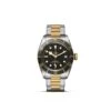 Tudor BLACK BAY S&G -Tissot || Longines || Omega Shop black bay s g p22715 84206 zoom
