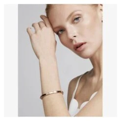 Ted Baker Clemina Rose Gold Finish Hinged Bangle -Tissot || Longines || Omega Shop clemina rose gold finish hinged bangle p54028 95832 image